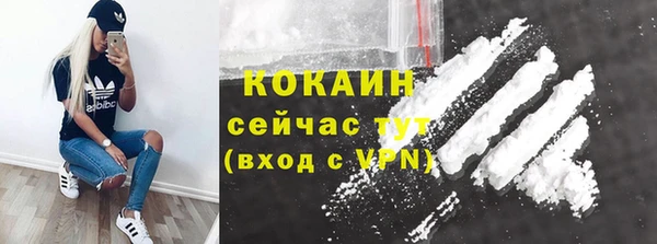 сатива Горняк