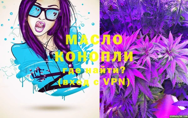 сатива Горняк