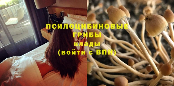 ALPHA PVP Вяземский